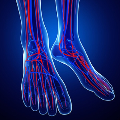 What Can Cause Poor Circulation in the Feet